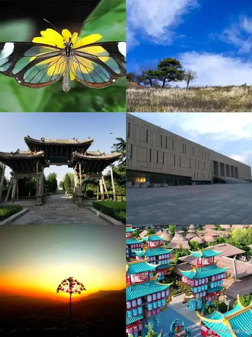 拍照,约会,遛娃,citywalk都 1渭南植物园 欢乐夜灯光隧道,亲子研学