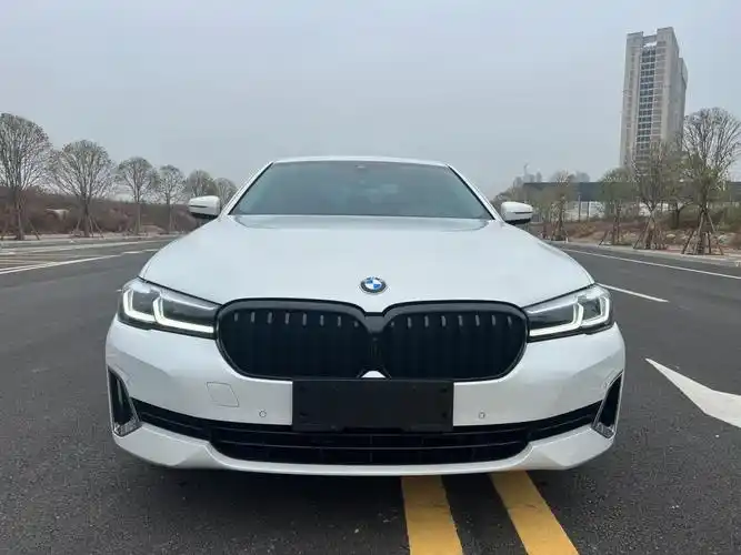 宝马 宝马5系  2021款 改款 530li 尊享型 豪华套装图片