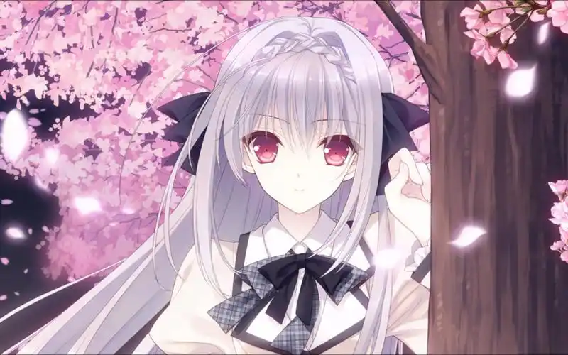 【近月少女的礼仪】樱小路露娜 小仓朝日 "我可以跟在你身后"