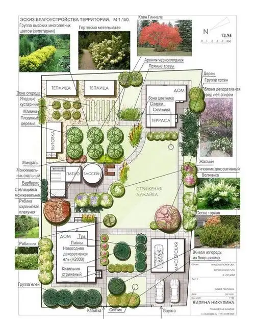 (植物配置)#(植物)#(植物搭配) #(植物配置)#(植物)#(植物搭配)