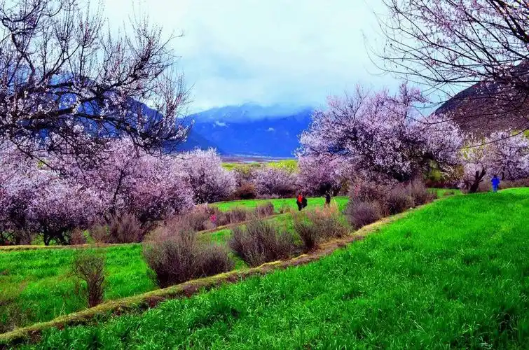 川藏北线,丹巴,色达,波密桃花,人文风光摄影团 - 美篇