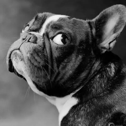 想你的夜 - 不霸气嚣张哦 唱吧,听见歌声遇见你