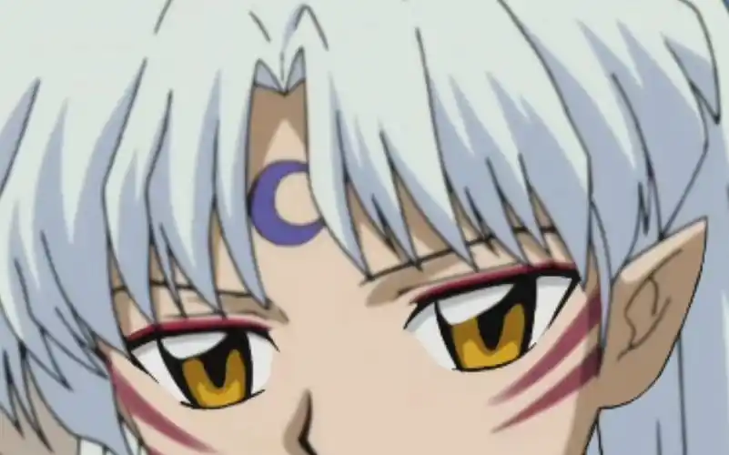 杀生丸小时候,好萌啊!