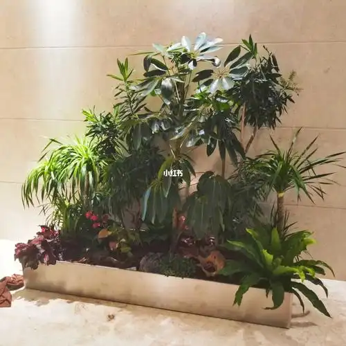 写字楼大堂绿植