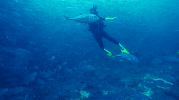 356_200gif 动态图 动图