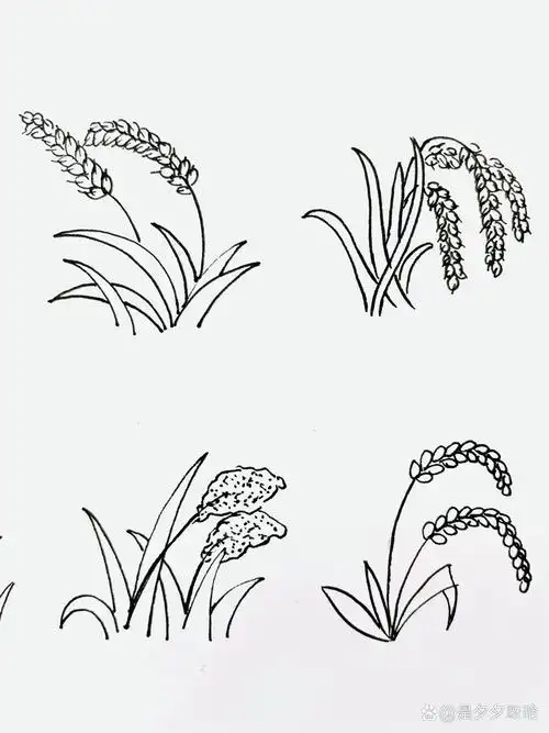 简笔画教程|手帐