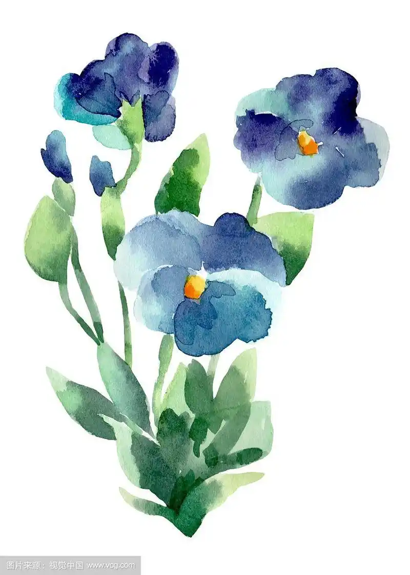 孤立的紫罗兰花水彩