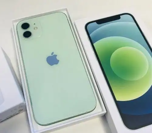苹果12紫色和绿色哪个更好看-iphone12紫色各版本价格介绍 - 非凡软件