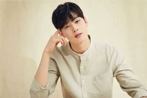 辛然的落叶不再是落叶