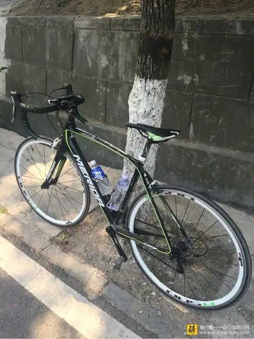 美利达斯特拉903全碳公路车