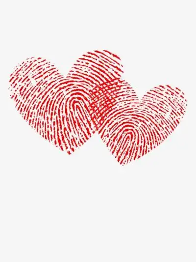 心形指纹