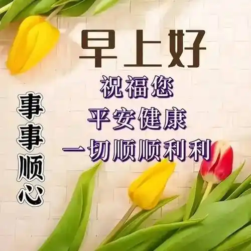 2024年4月8日最新早上好祝福语图片大全 今日精选早安问候祝福图片带