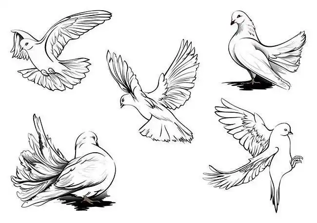 振翅高飞的和平鸽简笔画鸽子绘画的颜色的简笔画鸽子飞的时候简笔画