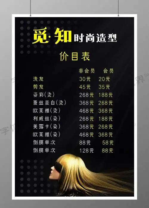简约黑色时尚造型美发沙龙价目表海报
