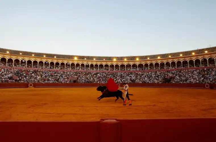 西班牙塞维利亚举行新冠疫情以来首次斗牛表演