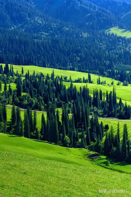 伊犁河谷有着盛夏中国最美的风景