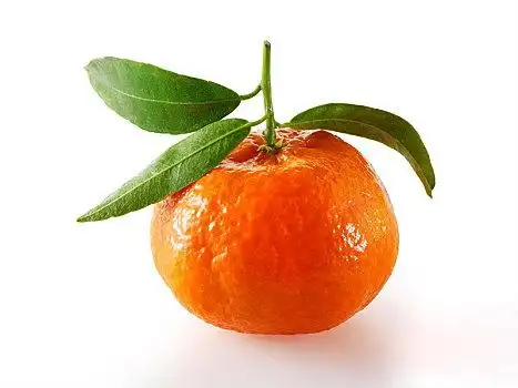 一个橘子图片