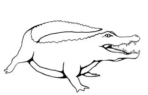 可怕的鳄鱼简笔画