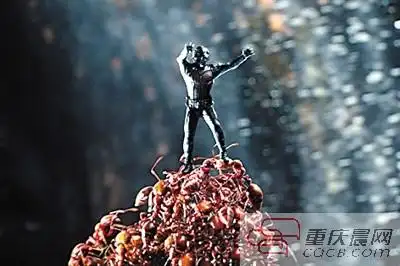 《蚁人》里的超级蚂蚁 入侵重庆被消灭|子弹|蚂蚁_凤凰资讯