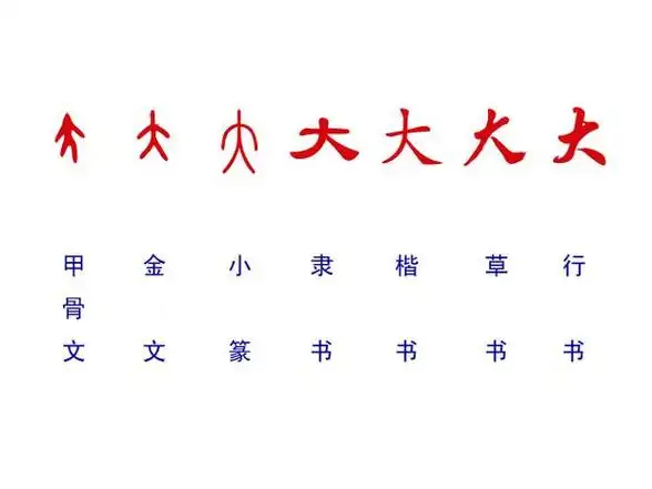 "大"的文字演变