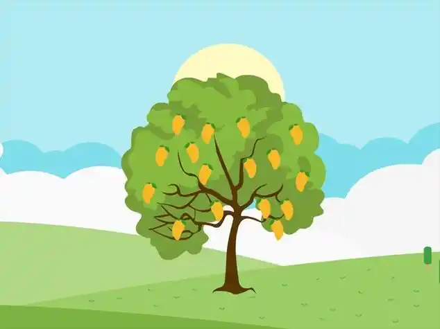 芒果树花简笔画