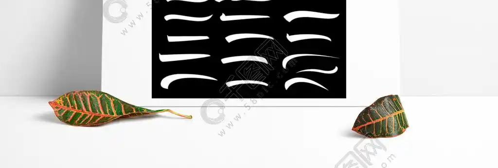 套下划线在白色,传染媒介例证笔线隔绝的线上划线套下划线在白色,手写