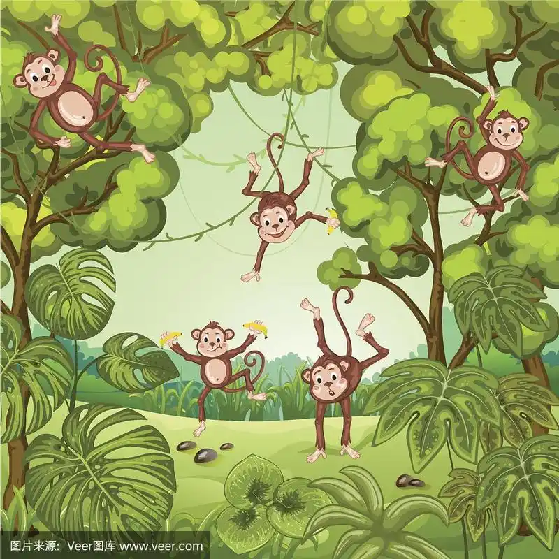 插图的猴子