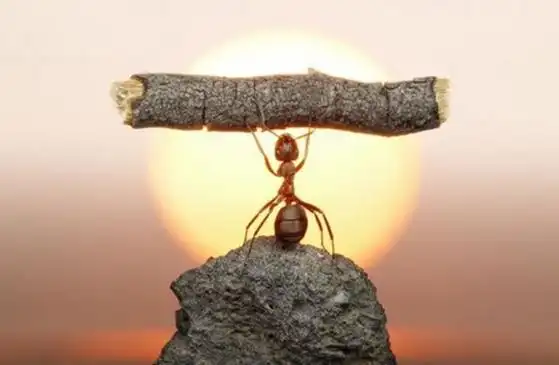 请相信你自己身体的力量