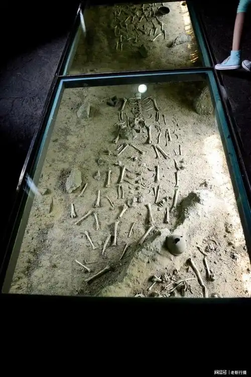 红色之旅丨海拉尔河畔55公里的地下城市埋藏着13万劳工的白骨