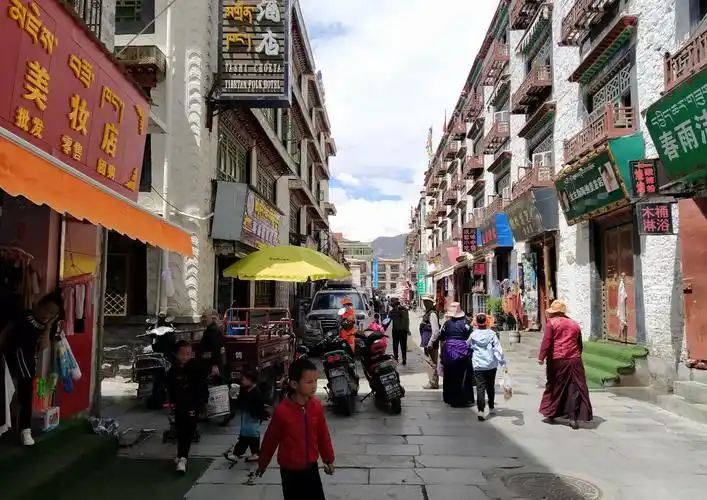 车堵在落有碎石的川藏线上,只有一个藏族小伙子下车捡石头