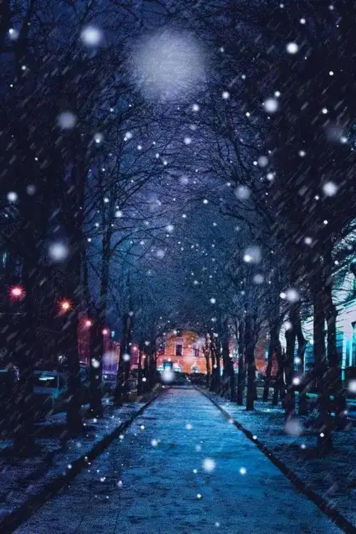 想起木心的一句短诗:我是一个在黑暗中大雪纷飞的人哪……原来世上真