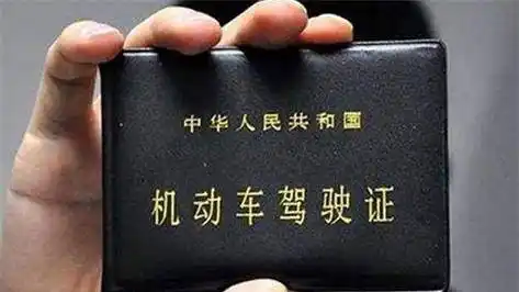 只比普通驾照多了9个字,全国仅此一张_袁老_驾驶证_水稻