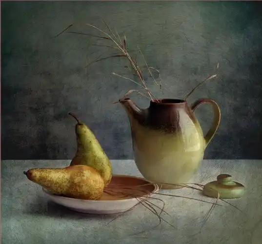 jolantabrigere古典主义风格静物摄影2