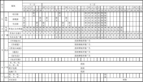 开业媒体投放排期表