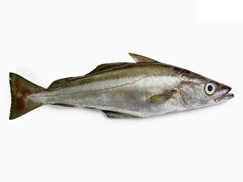 (牛舌头)虫鲽(七星)星康吉鳗(鳝鱼)孔鳐(老板鱼)绿鮟鱧(先生鱼)鮟鱧