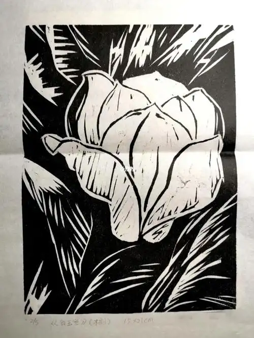黑白木刻白玉兰