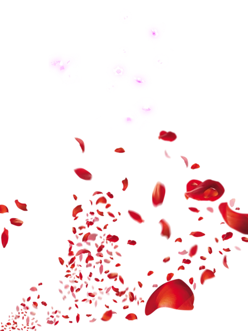 花瓣-花瓣网|陪你做生活的设计师 | 暑天png 元素 素材 免抠 png素材