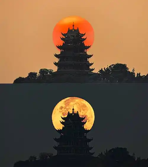 2023影像盘点 | 日月同辉—摄影师 张鑫_大金_落日_楼同框