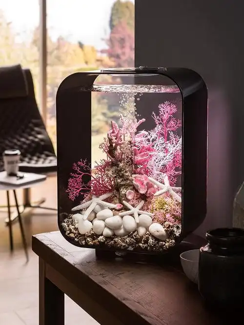 亚克力小鱼缸图片