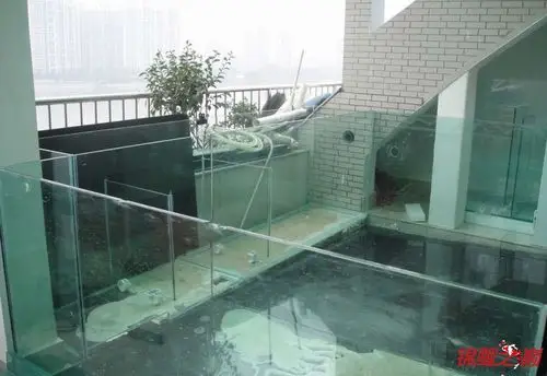 玻璃大鱼池
