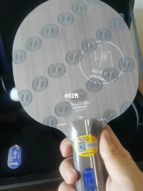 许昕蓝标斯蒂卡许昕蓝标