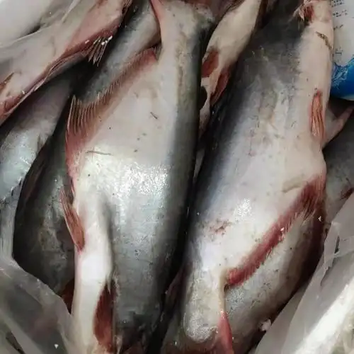 大马佐恩casaba新鲜巴沙鱼湄公鱼火锅烧烤500克袋装切片500g1份phan