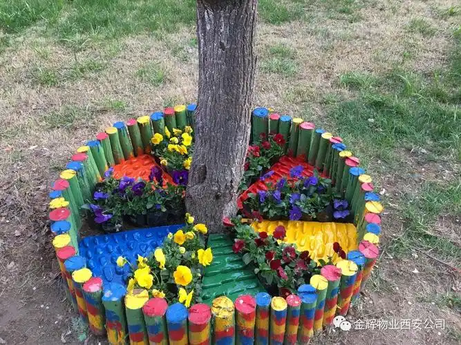 金辉陪您过四季环境篇