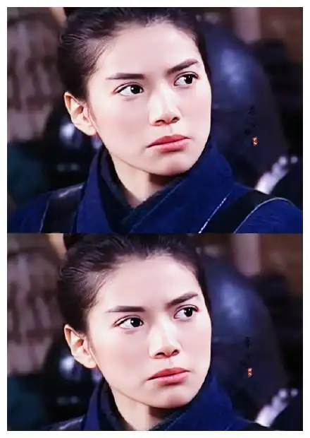 袁咏仪在2000年前参演过的几部电视剧你看过哪些呢