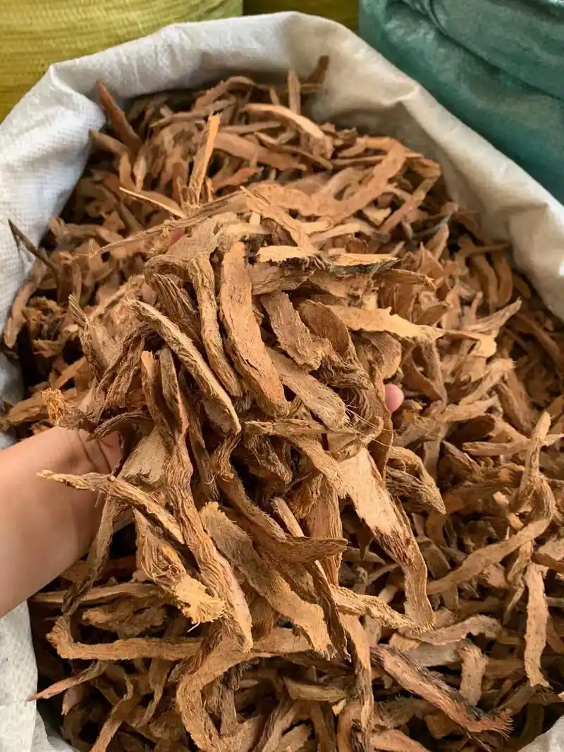 千年健片中药材养生活跃祛风湿消肿止痛投料.特价92:27.8 - 抖音