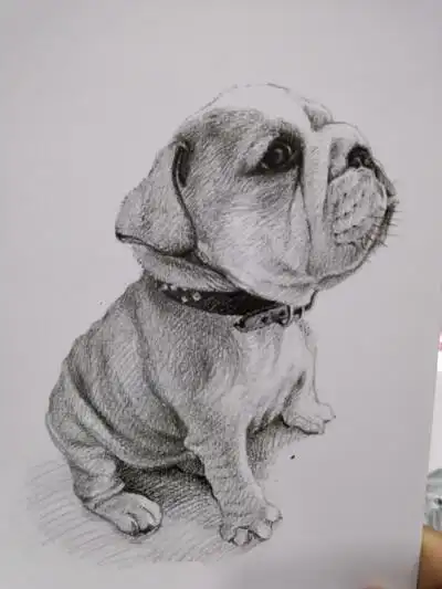 0条  收集   点赞  评论  素材 0 194 江湖大佬  发布到  创意素描