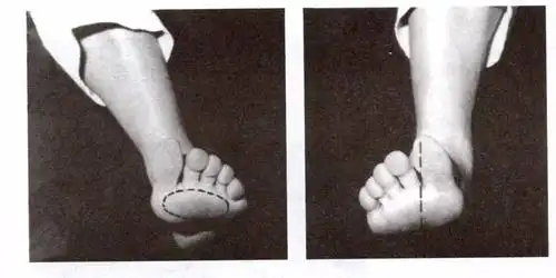 经过跆拳道训练,脚的威力远远大