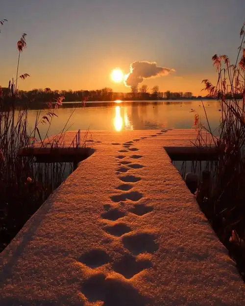 雪中的足迹来自摄影师aleksharlow