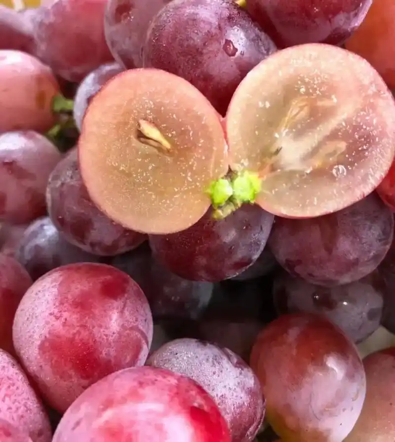 正宗大颗粒红提99 人生只如初见的"甜"[色]超甜爆汁的红提 - 抖音