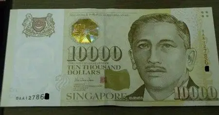 10000新加坡元 10000新加坡元=49896人民币元